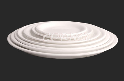 Catering Plates Manufacturers in Delhi